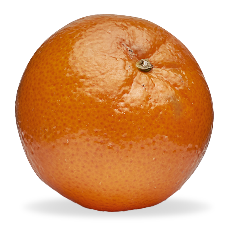 Image of Mikan fruit