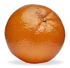 Mikan