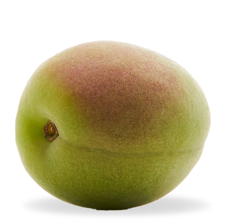 Image of Ume fruit
