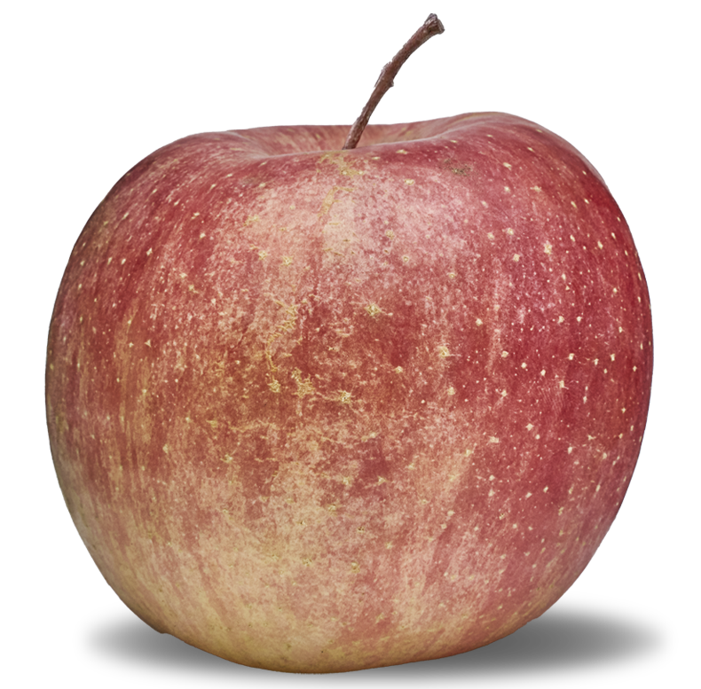 Image of ringo fruit