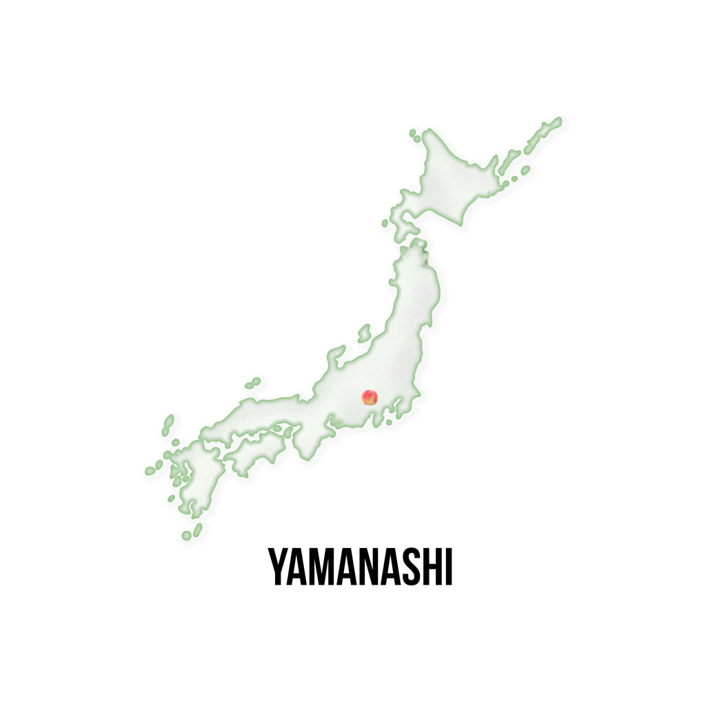 Momo Sparkling Juice (24pk)