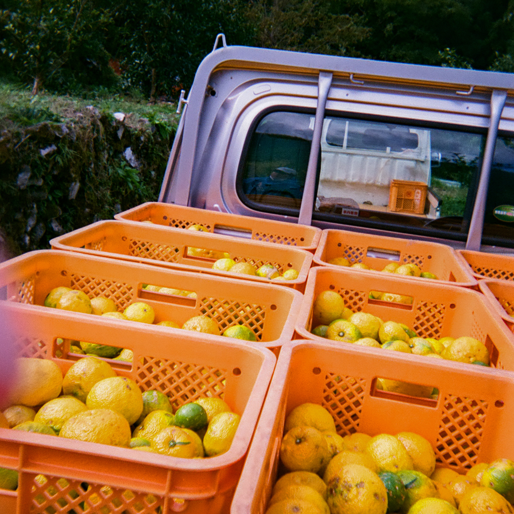 Yuzu Sparkling Juice (24pk)